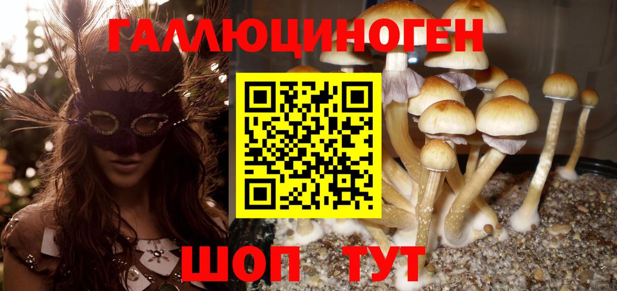 Псилоцибиновые грибы прущие грибы Рославль
